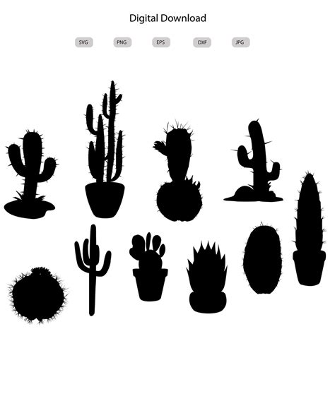 Cactus Svg Cactus Silhouette Cactus Svg Bundle cactus Svg Design Cactus ...