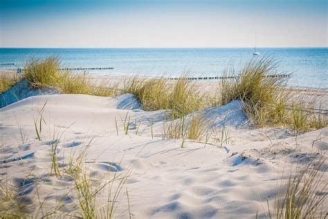 15 Best Things To Do In Cape Cod In The Winter