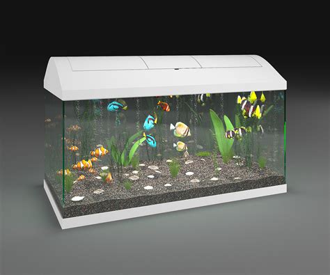 Aquarium Leddy Set Plus D N