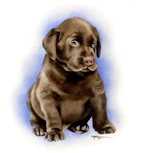 Chocolate Lab Puppy Labrador Retriever Art Print By Watercolor Etsy