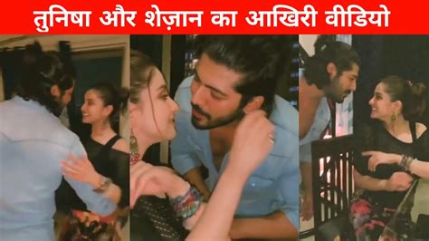 Shezan Khan And Tunisha Sharma Last Birthday Video YouTube