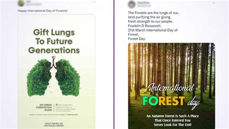 International Day Of Forests 2022 Netizens Share Greetings Quotes