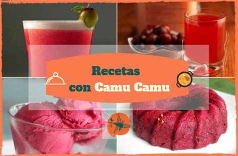 Recetas Con Camu Camu Comida Peruana Web