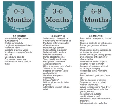 Language Development Stages - Spacotin