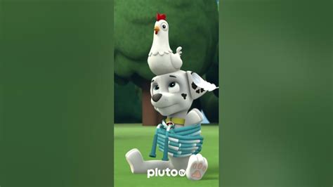 Nosotros festejamos así 🐶 | Paw Patrol | Pluto TV #shorts - YouTube 