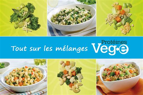 Tout Sur Les M Langes Prot Ines Vege Arctic Gardens