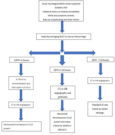 Acute Ischemic Stroke Guidelines