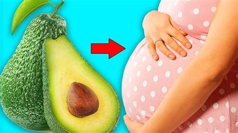 Top 5 Reasons To Eat More Avocados That Every Women Should Know Youtube