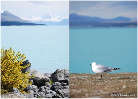 foodwink: New Zealand (2/12) - Lake Pukaki