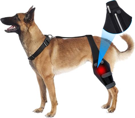 Limmax Dog Knee Brace Dog Leg Brace For Torn Acl Hind Leg