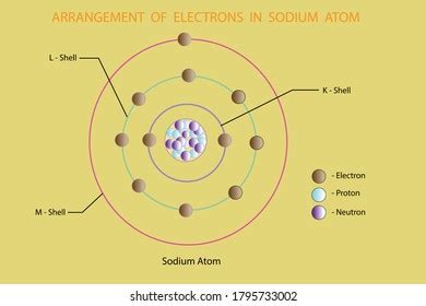 Vector Diagram Arrangement Electrons Sodium Atom Stock Vector (Royalty ...