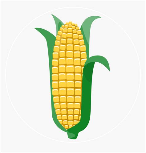 Corn Icon Corn Icon Hd Png Download Kindpng