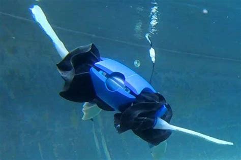 Transforming Turtle Robot Can Walk On Land And Swim Through Water