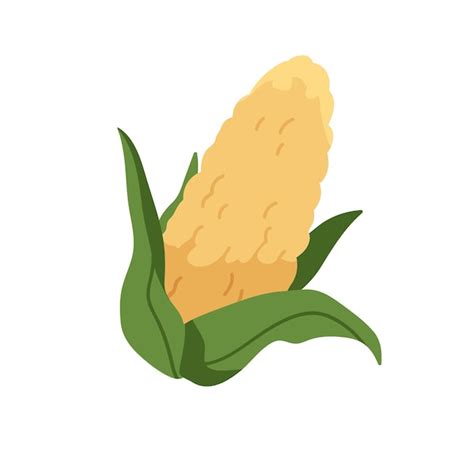 Premium Vector Sweet Corn Cob Fresh Ripe Corncob Sweetcorn Maize