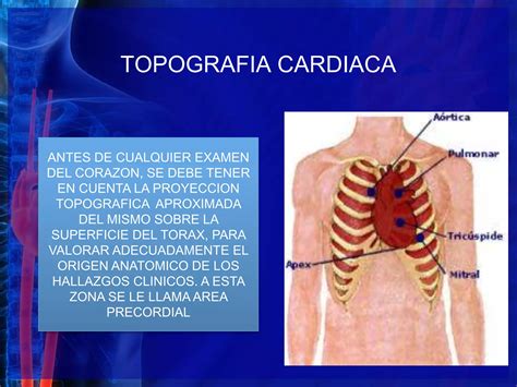 Examen Fisico Del Corazon Ppt