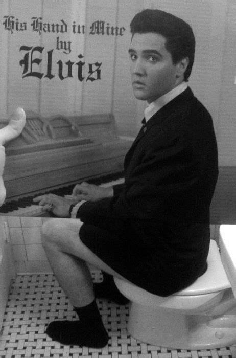 Elvis Presley On Toilet Elvis Presley Gospel Elvis Presley Albums