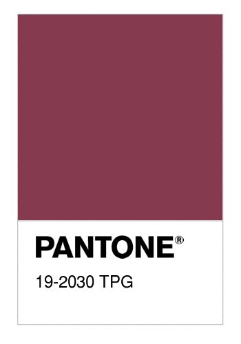 Colore PANTONE 19 2030 TPG Beet Red Numerosamente It