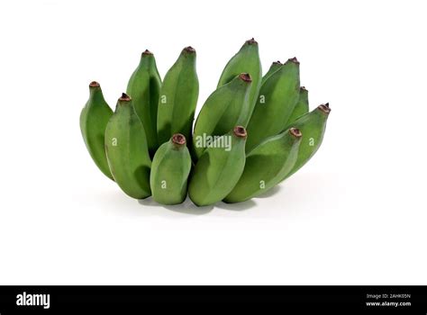 Cultivated Banana Isolated On White Background With Clipping Path