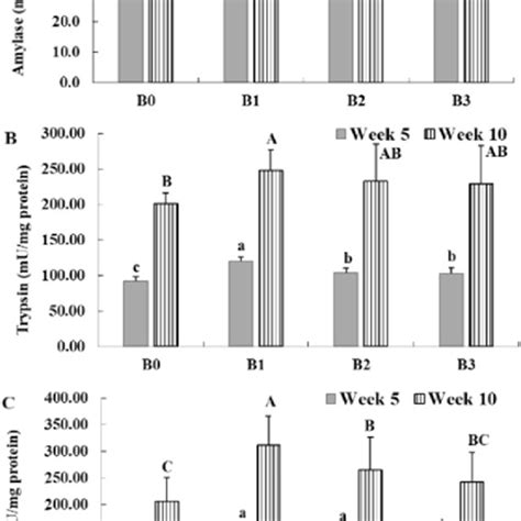 Digestive Enzyme Activity In The Intestine Of Shrimp Fed Different