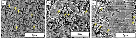 SEM images of abraded surface of the (a) AK, (b) JP and (c) JK coatings ...