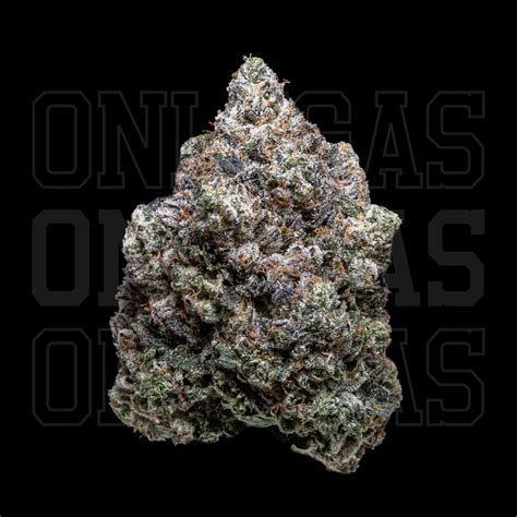High Octane — Aaaa— Indica Onlygas