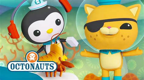 Octonauts Wallpapers Cartoon Hq Octonauts Pictures 4k Wallpapers 2019