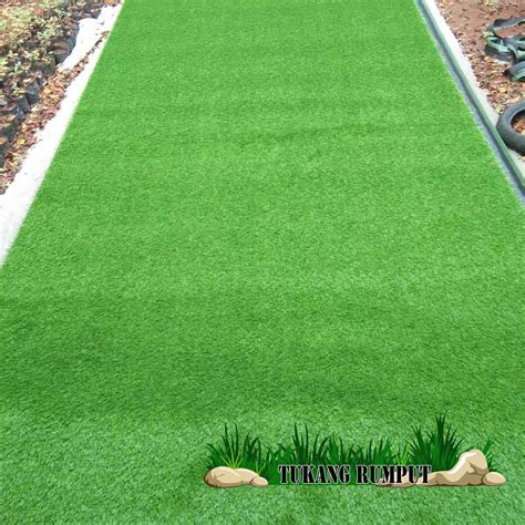 Harga Rumput Jepang Per Meter Terupdate 2021