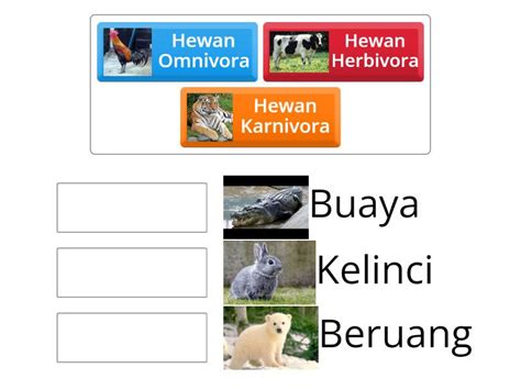 Kelas Sd Penggolongan Hewan Berdasarkan Makanannya Match Up