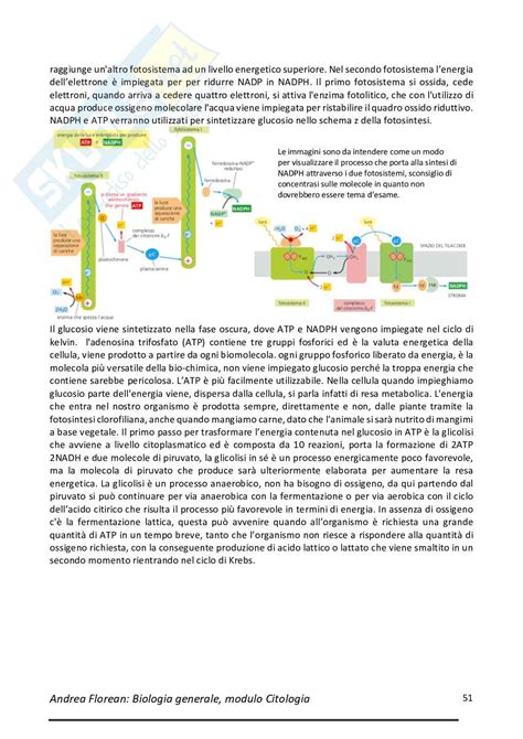 Riassunto Esame Biologia Generale Prof Talesa Vincenzo Libro