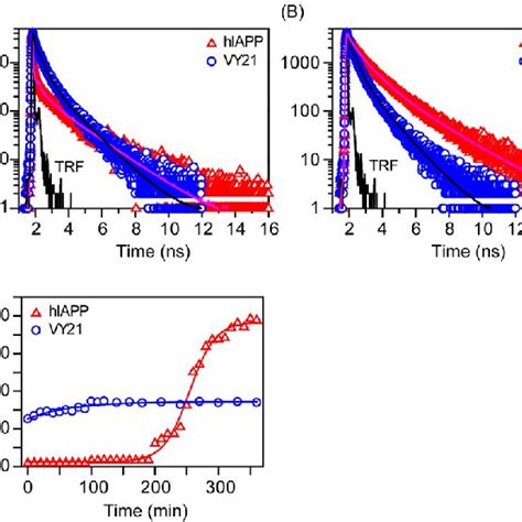 A Time Resolved Fluorescence Decay Of Tht In Presence Of Hiapp Red Download Scientific