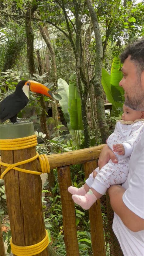 Tam Ezinha On Twitter Mas Teve Esse V Deo Do Tucano Querendo Ser