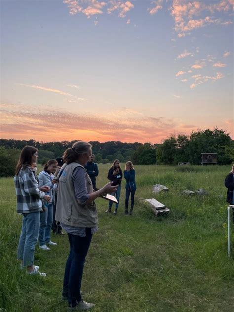 Biss In Der Abendstunde Das Fledermausprojekt Am GOA Gymnasium