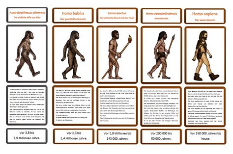 Kerstins Krabbelwiese Entwicklung Zum Homo Sapiens