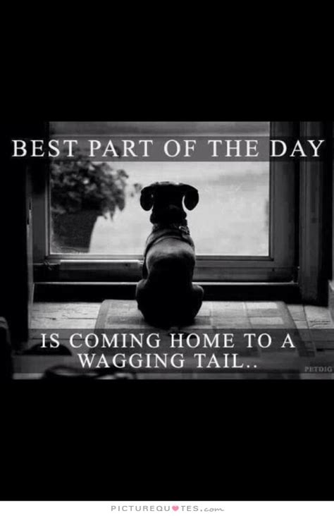 Coming Home Quotes And Sayings. QuotesGram