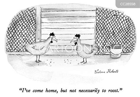 Home To Roost Cartoons and Comics - funny pictures from CartoonStock