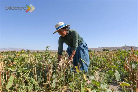 Protege tu cultivo Seguro Agrícola Catastrófico paga compensación de S