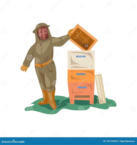 Beekeeper In Clothes Equipment Takes Wood Honey Frame Stock Vector Illustration Of Agriculture