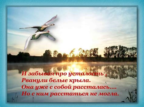 Любимые птицы - презентация онлайн