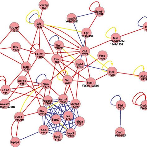 Protein Interaction Network Analysis Of Proteins Exhibiting