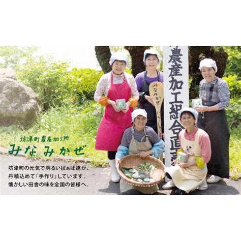 ふるさと納税 鹿児島県 南さつま市 【ばぁばの手作り】よもぎたくさん よもぎもち 4717588ふるさとチョイス 通販 Yahoo