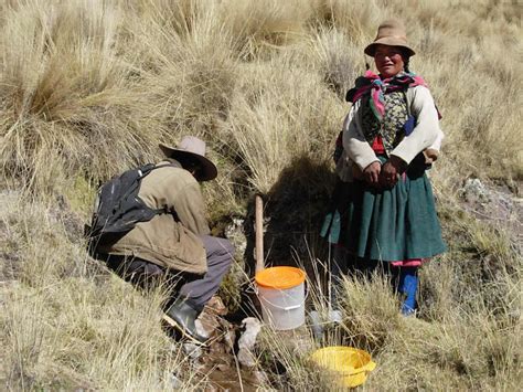 Noticia El Perú Es Uno De Los Países Más Vulnerables Del Mundo Frente