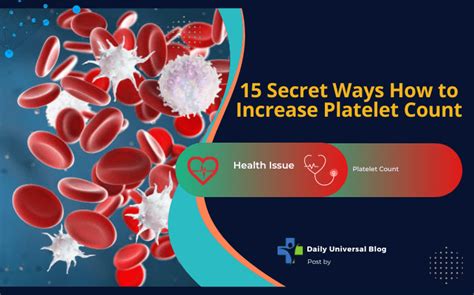 15 Secret Ways How To Increase Platelet Count By Daily Universal Blog Medium