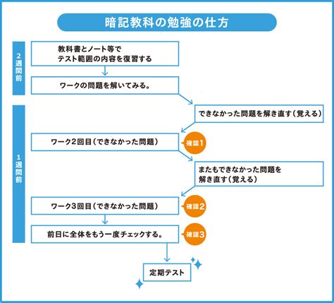 【同梱不可】 中学生 中間 期末テストの勉強法 Game Kouryakusakuranejp