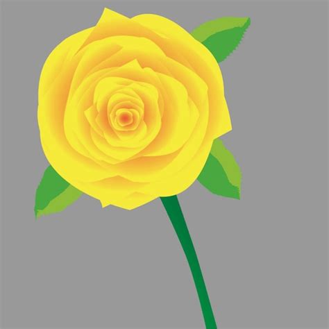 Flor De Rosa Amarela Em Ilustrador Vetor Premium