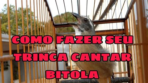 COMO FAZER SEU TRINCA FERRO CANTAR BITOLA YouTube