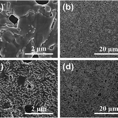 Sem Images Of Ch Nh Pbi X Cl X Layers A And B The One