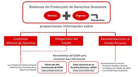 213 Sistemas De Protección De Ddhh Pdfpdf