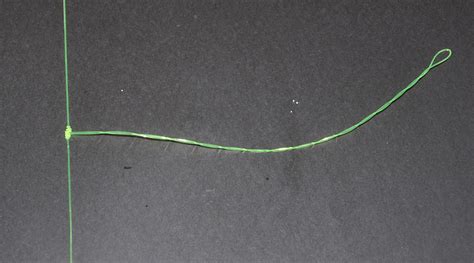 Tying The Twisted Dropper Loop FISHTRACK