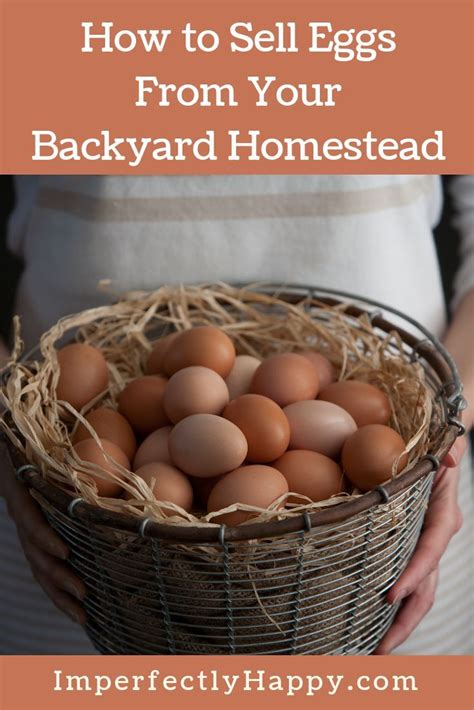 Selling Eggs From Your Backyard Homestead The Imperfectly Happy Home