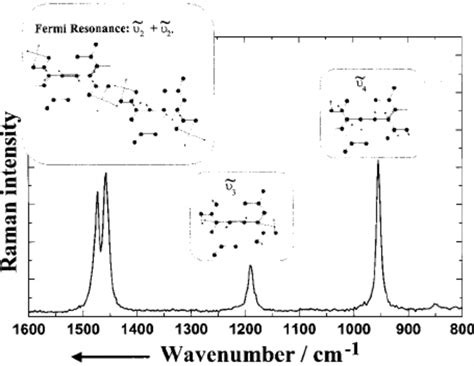 Resonance Raman Spectrum Displaying The Vibrational Modes Excited By